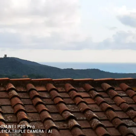 Il Nespolo