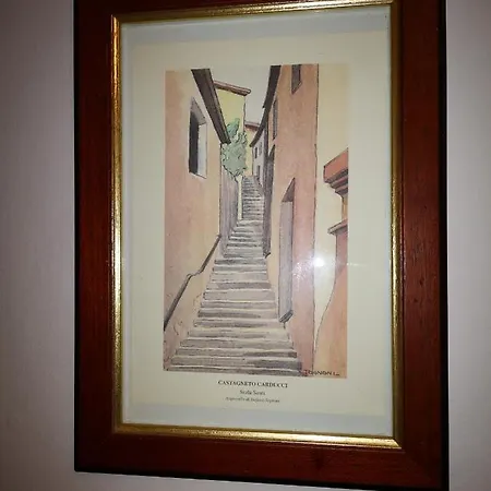 Il Nespolo * Castagneto Carducci